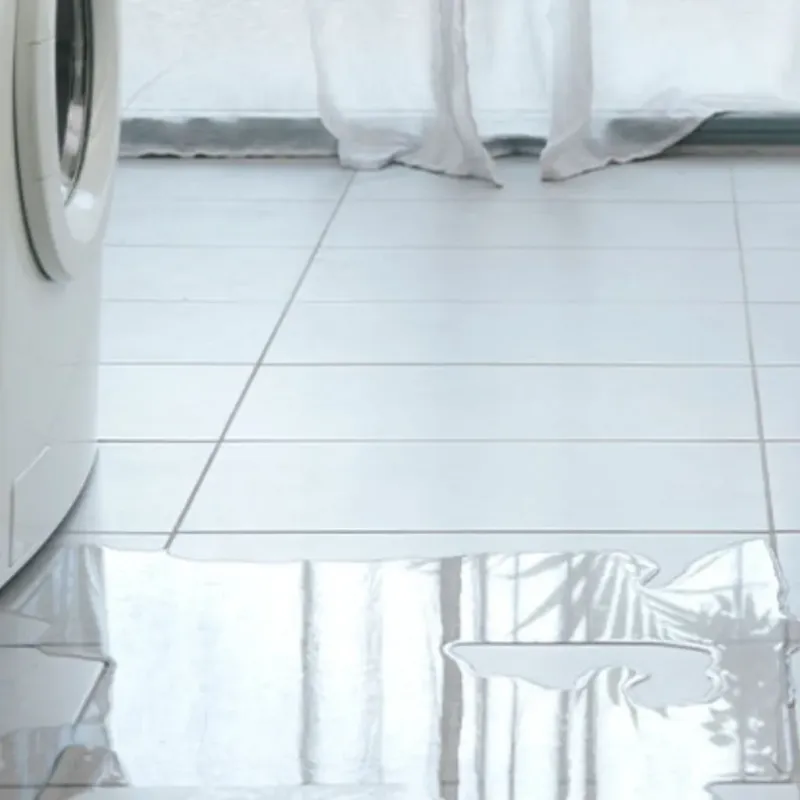 Appliance Leak Cleanup in Prospect, OH
