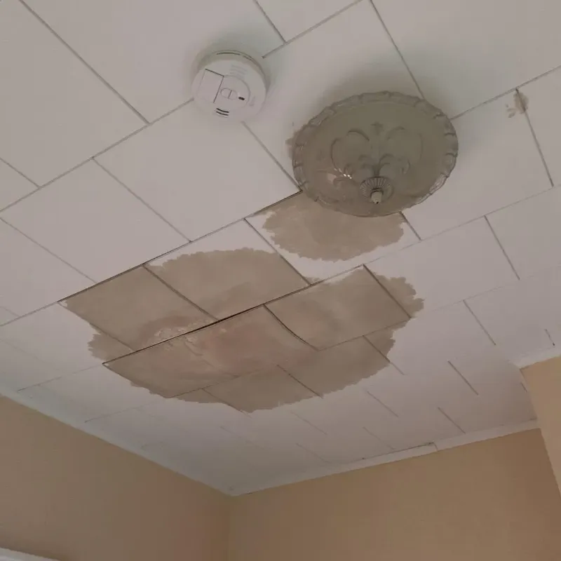 Ceiling Water Damage Repair in Prospect, OH
